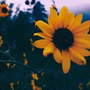 Meet your Posher, Charlesetta